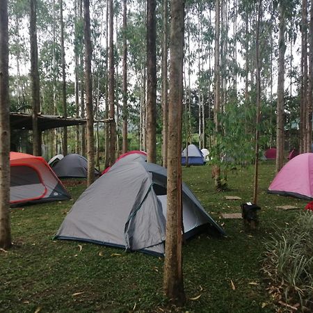 Murchison Backpackers Masindi Eksteriør billede
