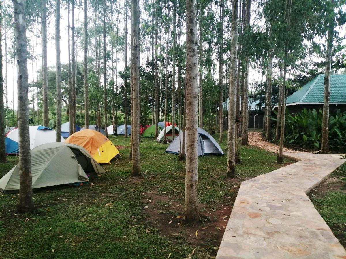 Murchison Backpackers Masindi Eksteriør billede