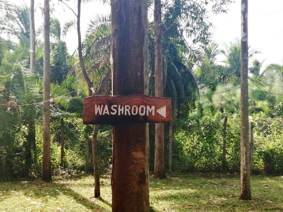 Murchison Backpackers Masindi Eksteriør billede