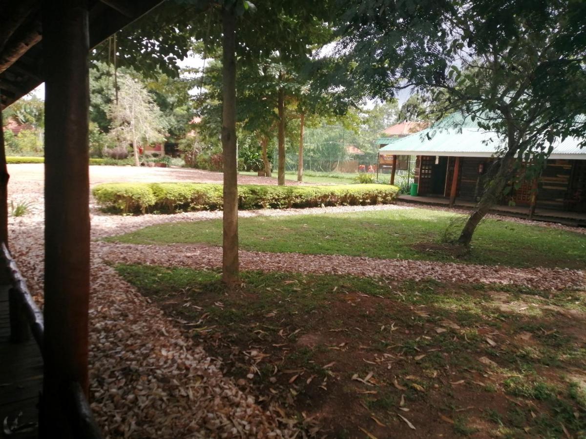 Murchison Backpackers Masindi Eksteriør billede