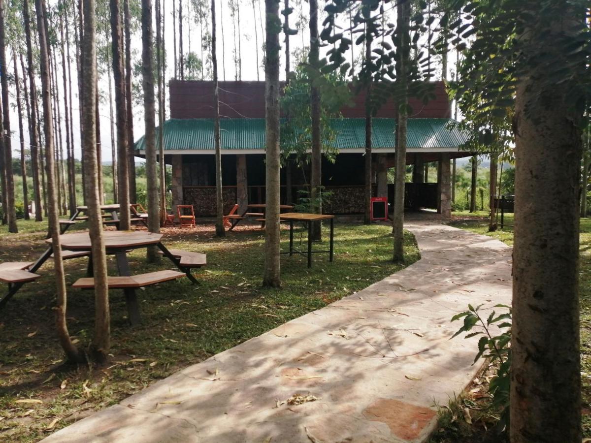 Murchison Backpackers Masindi Eksteriør billede