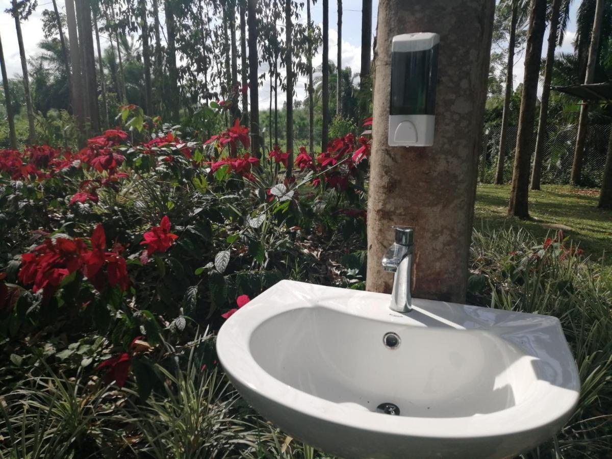 Murchison Backpackers Masindi Eksteriør billede